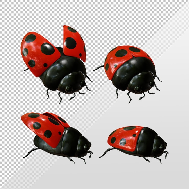 PSD 3d rendering of animal ladybug wings open and closed perspective view