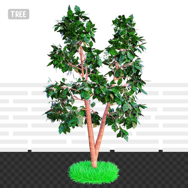 PSD 3d 렌더링 건축 나무