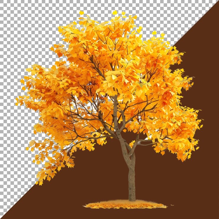PSD 3d rendering of a autumn season tree on transparent background ai generated