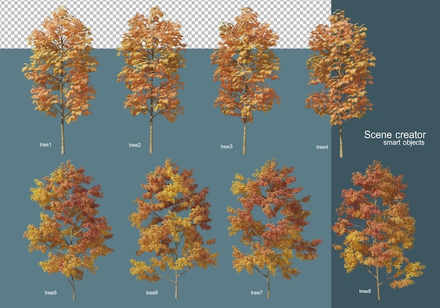 PSD 3d 렌더링 가을 나무 배열