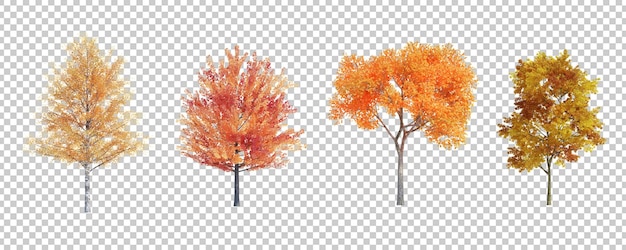 PSD 3d rendering autumn tree isolated cut background