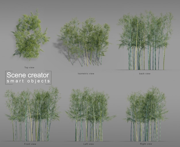 Rappresentazione 3d del creatore di scena di bambù