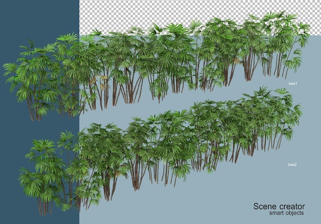 고립 된 다양 한 각도에서 아름 다운 식물의 3D 렌더링