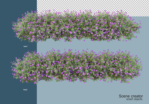 PSD rendering 3d di bellissimi arbusti in vari angoli isolati