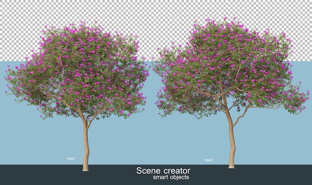 PSD rendering 3d di bellissimi alberi in vari angoli isolati