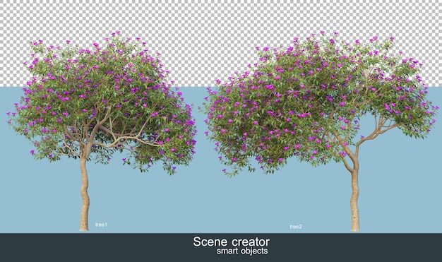 3d rendering of beautiful trees in various angles isolated