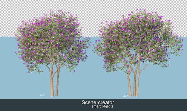 PSD 3d rendering of beautiful trees in various angles isolated