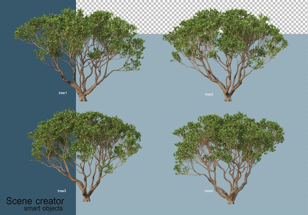 Rendering 3d di bellissimi alberi in vari angoli isolati