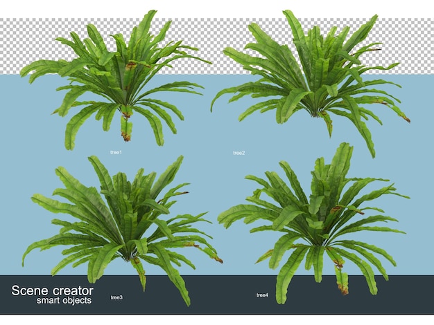 分離されたさまざまな角度で美しい木の3Dレンダリング