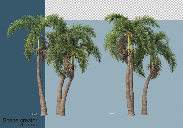 3d rendering of beautiful trees in various angles isolated