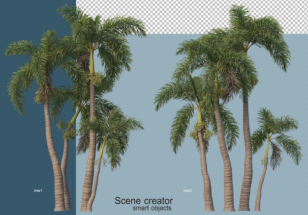 3d rendering of beautiful trees in various angles isolated