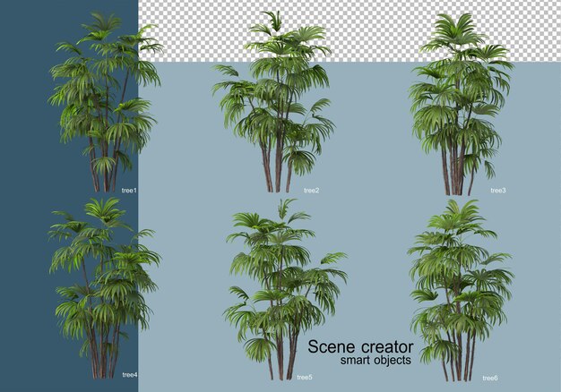 3d rendering of beautiful trees in various angles isolated