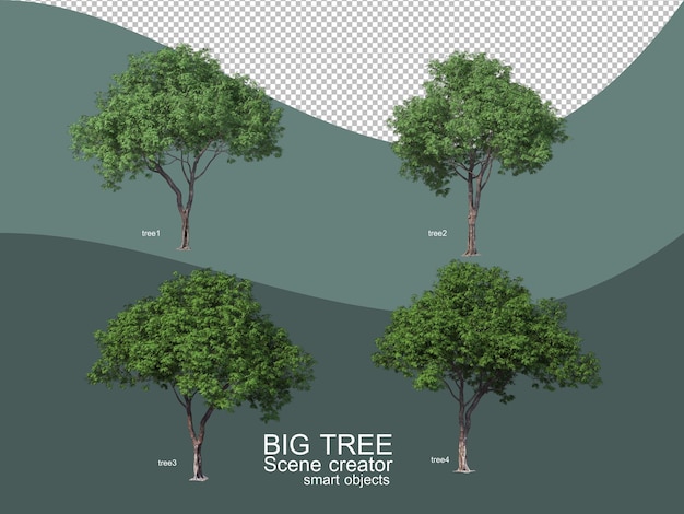 Rendering 3d di arrangiamenti di grandi alberi