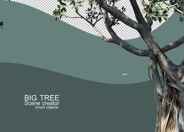 Rendering 3d di arrangiamenti di grandi alberi