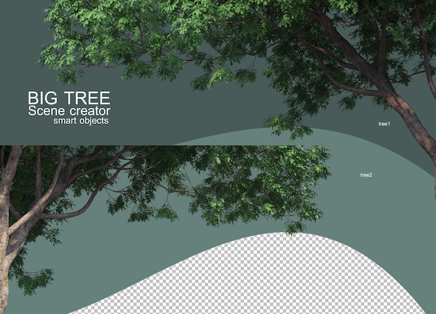 PSD 3d rendering of big tree arrangements