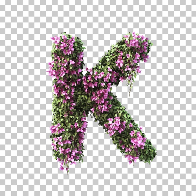 3d rendering of bougainvillea alphabet k