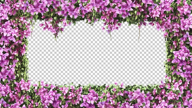 Rendering 3d di cornice floreale bougainvillea