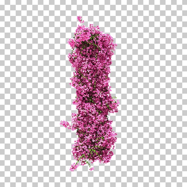 PSD 3d rendering of bougainvillea letter i