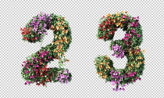 PSD 3d rendering of bougainvillea numbers