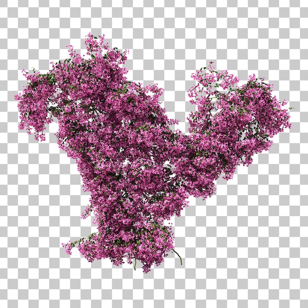 부겐빌레아의 3d 렌더링