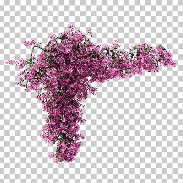 PSD 3d rendering of bougainvillea