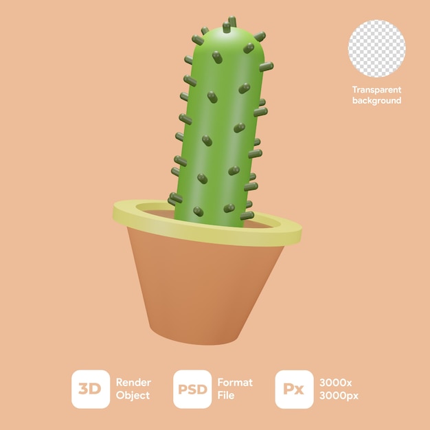 3d rendering cactus with transparent background