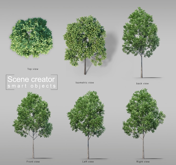 PSD 3d rendering of carrotwood trees