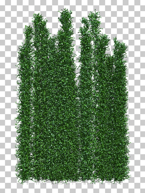 3d rendering of climbing plant