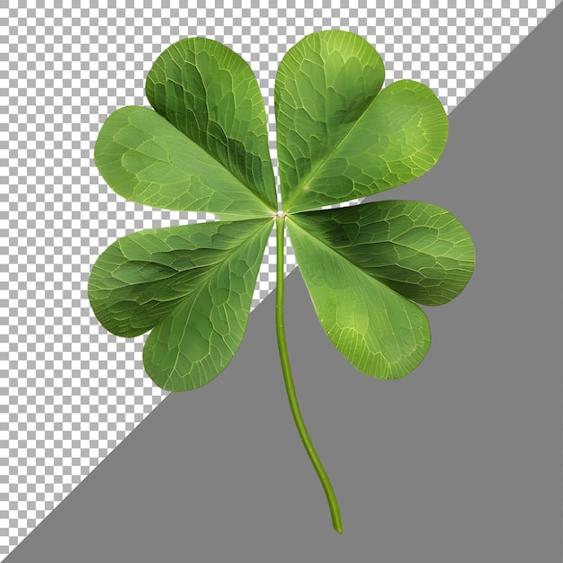 PSD 3d rendering of a clover leaf on transparent background ai generated