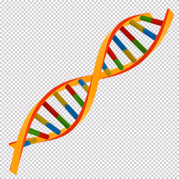 PSD rendering 3d del gene colorato del dna