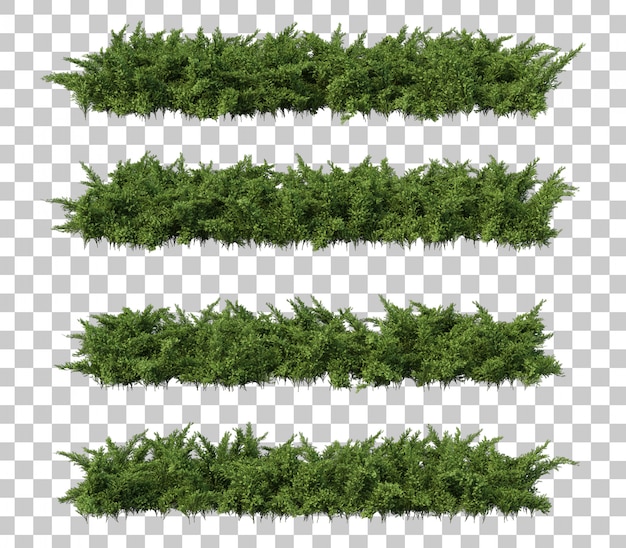 3d rendering of creeping juniper
