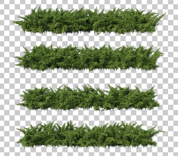 PSD 3d rendering of creeping juniper