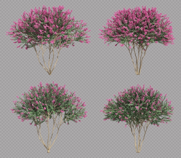 PSD 3d rendering of crepe myrtle tree set