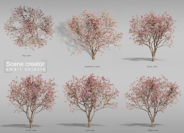 PSD 3d rendering of desert willow tree