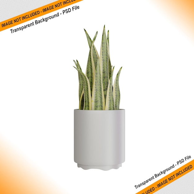 가정 장식에 필요한 관상용 식물의 3d 렌더링 디자인