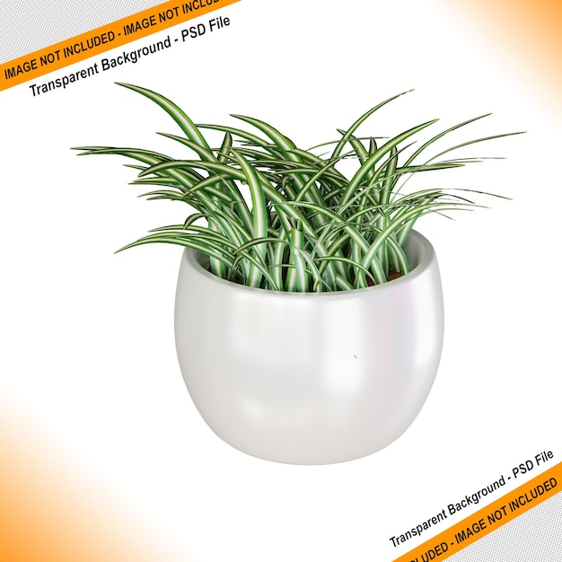 PSD 3d rendering design of ornamental plants for home decoration needs