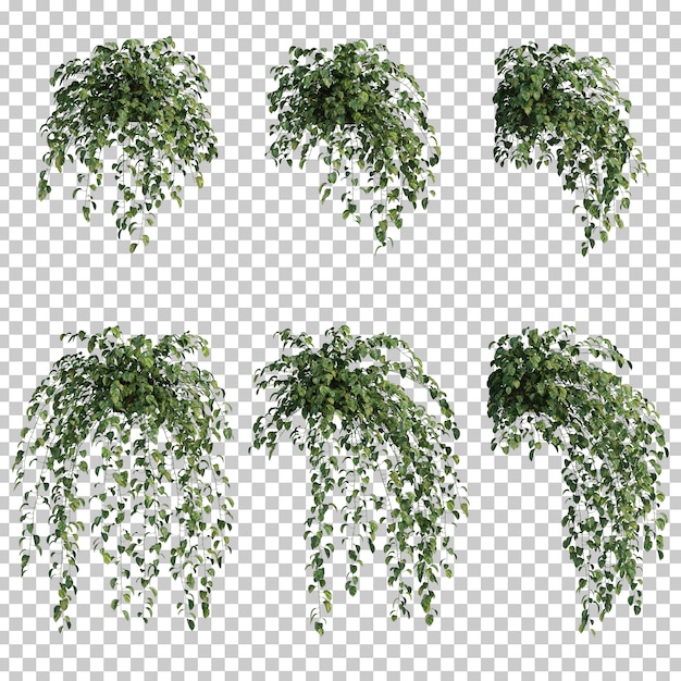 3d rendering of  epipremnum aureum