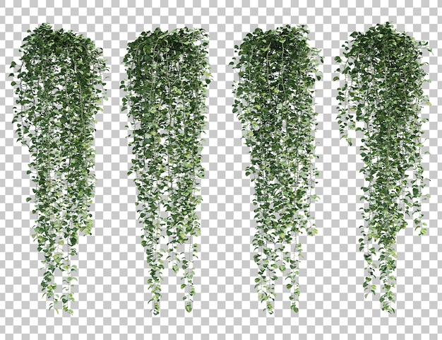 3d rendering of  Epipremnum aureum