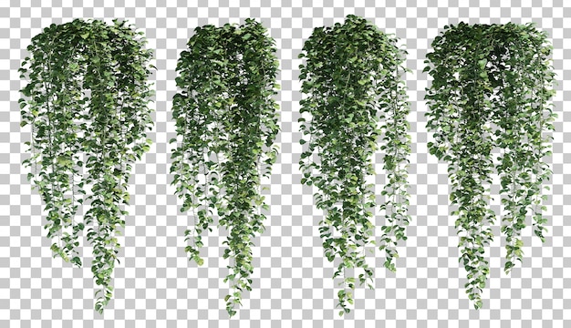 3d rendering of  epipremnum aureum