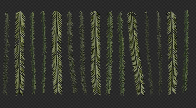 PSD 3d rendering of fern set