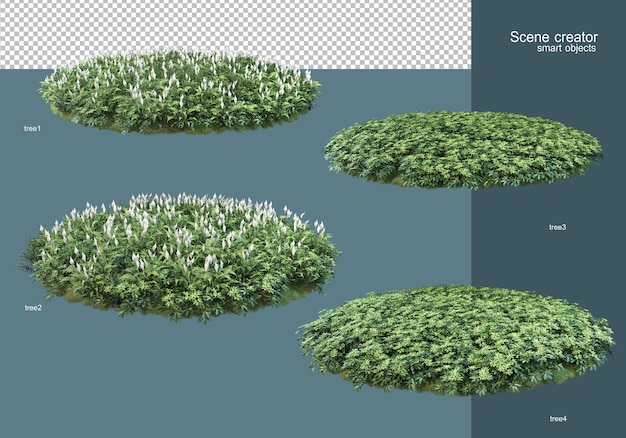 3d rendering the flower field arrangement