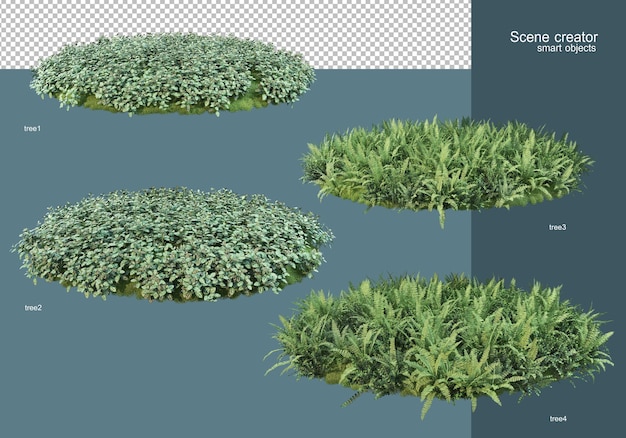 3d rendering the flower field arrangement