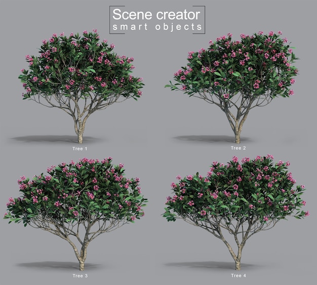 Rendering 3d del creatore di scene dell'albero di frangipani