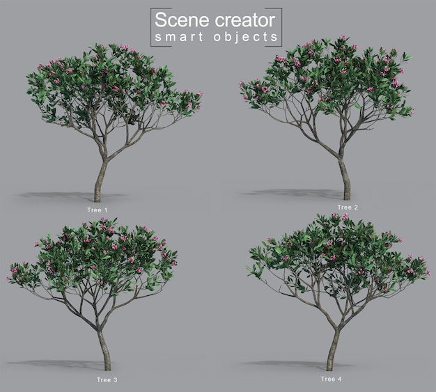 3d rendering of frangipani tree scene creator