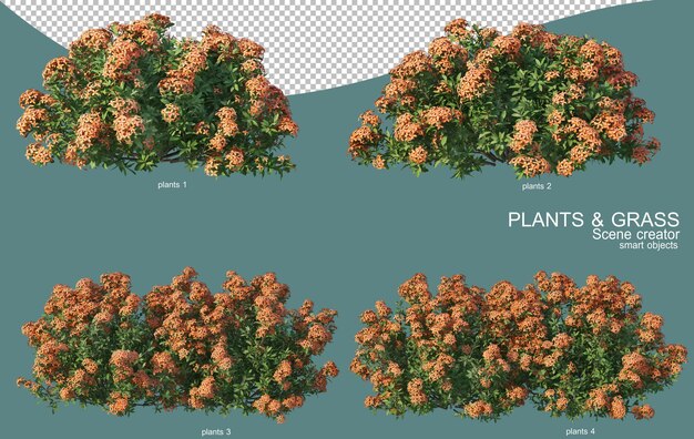 Rendering 3d di disposizioni di erba e arbusti