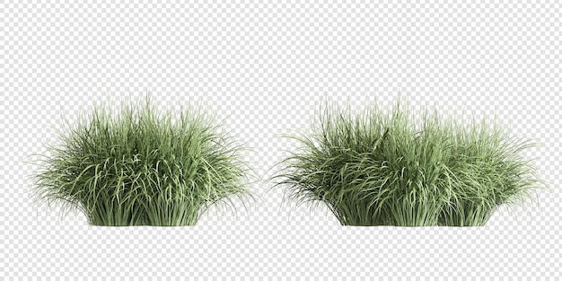 PSD 3d rendering of grass and shrub arrangements