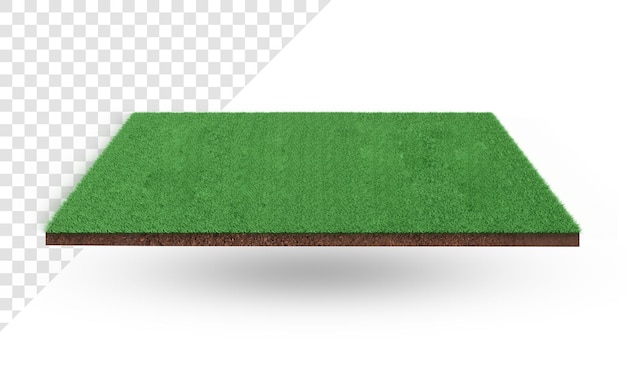 3d rendering of green grass field isolated