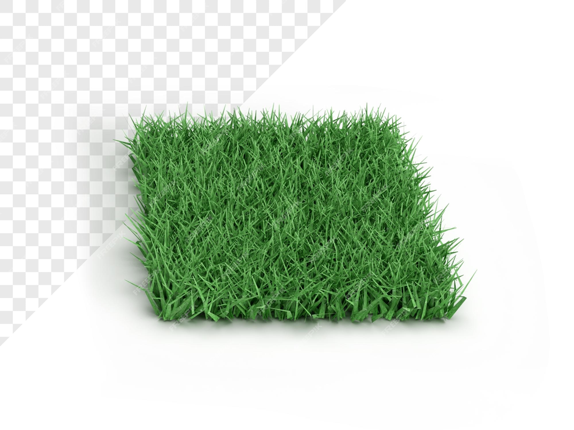 Premium PSD | 3d rendering of green grass