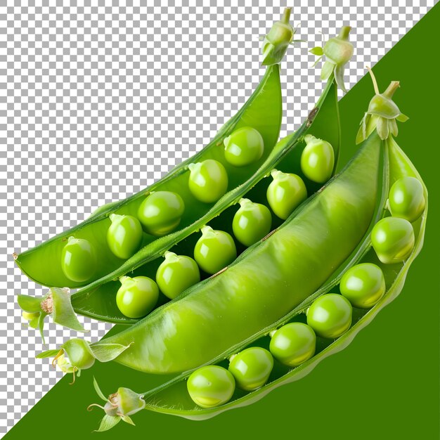 PSD 3d rendering of a green peas on transparent background ai generated