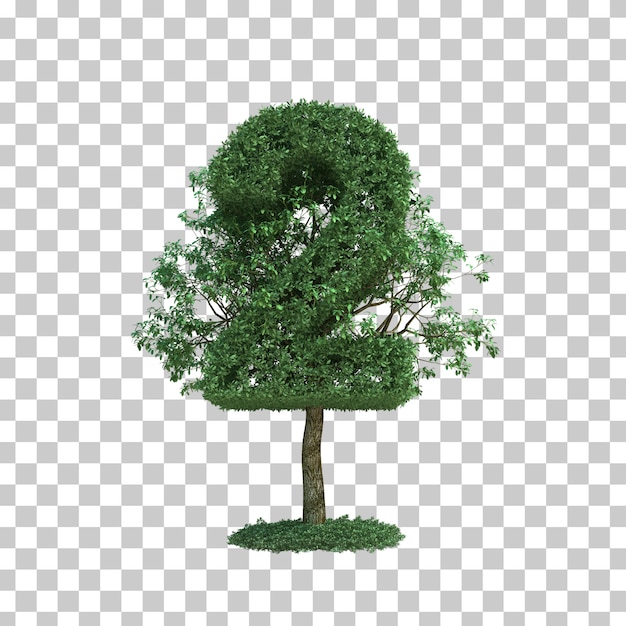 PSD 3d rendering of green tree number 2